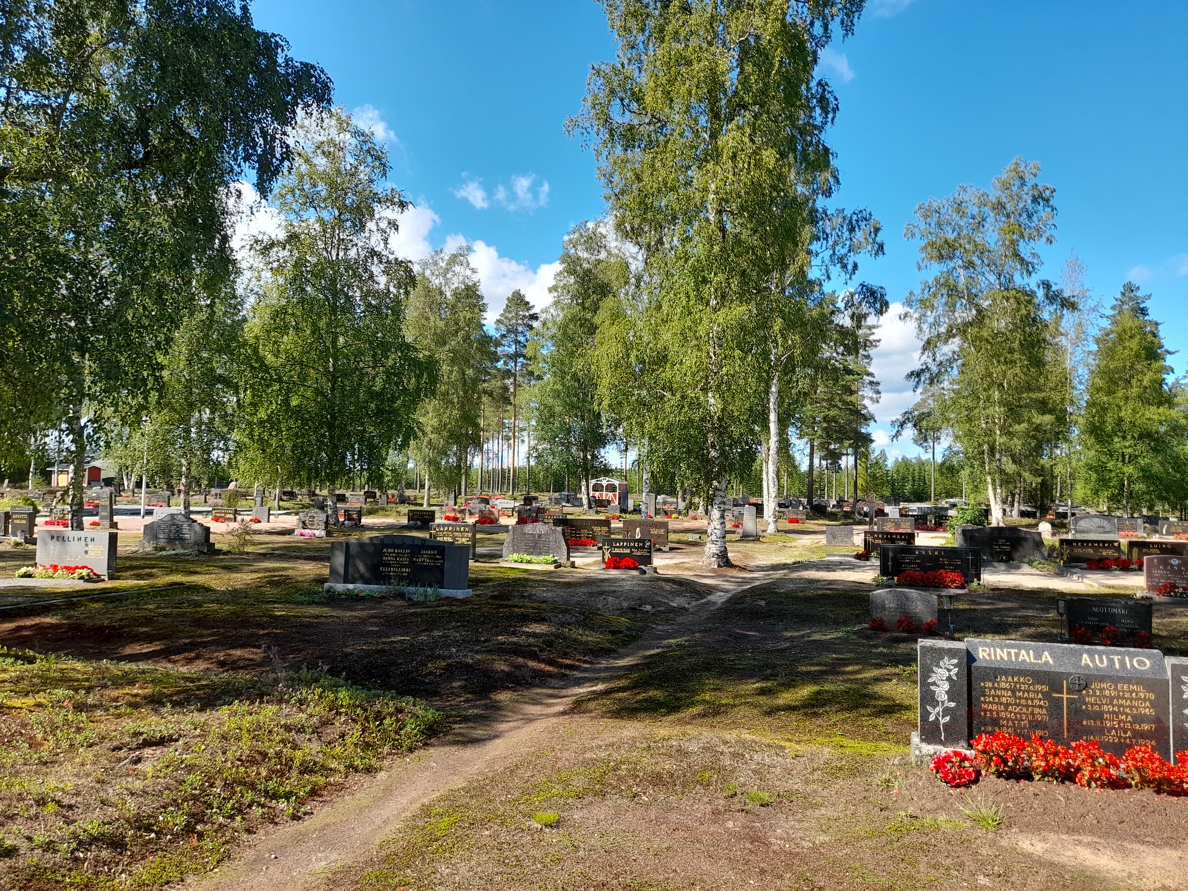 yleiskuva Kortejärven hautausmaalta kesällä